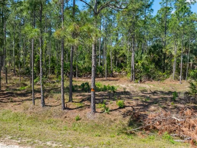 1115 Lincoln AVE, LEHIGH ACRES FL 33972