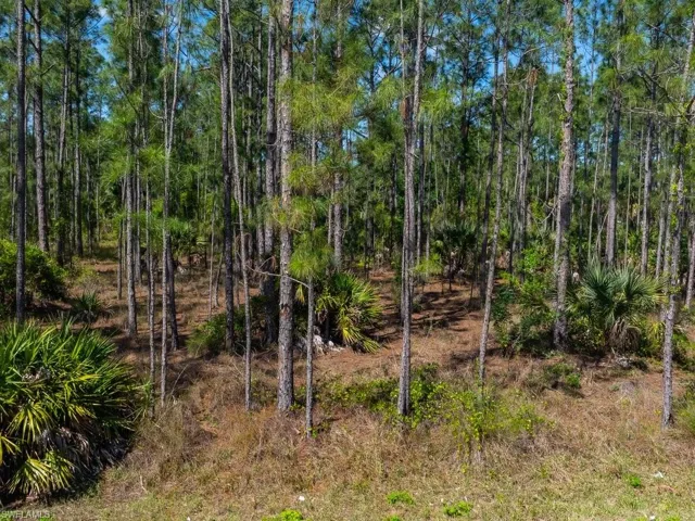 1115 Lincoln AVE, LEHIGH ACRES FL 33972