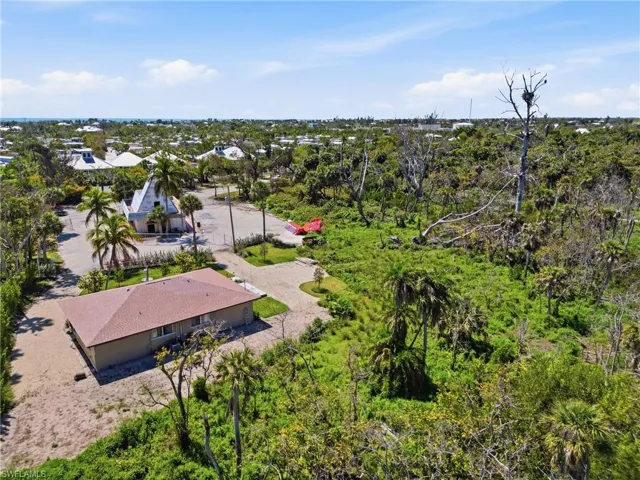 Aerial view of a tree filled landscape