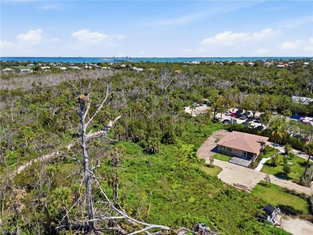 Aerial view of a tree filled landscape