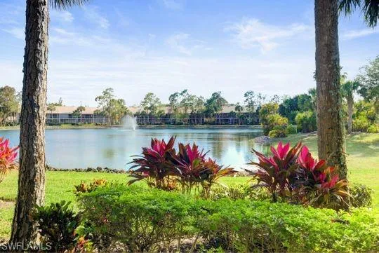 Lakeside property featuring mature trees and lush landscaping with vibrant foliage