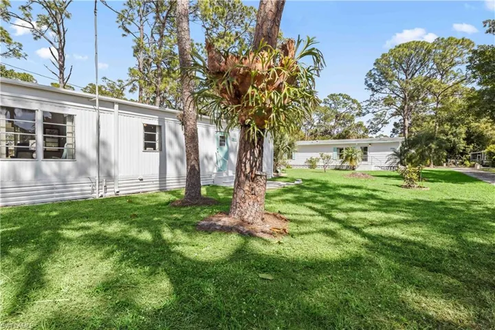 Side yard - check out that beautiful staghorn!
