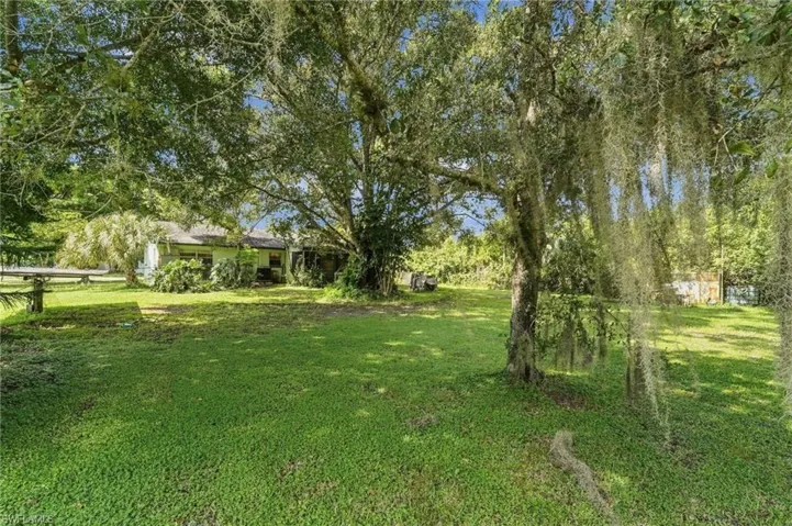 Expansive green yard with established trees and a residential structure