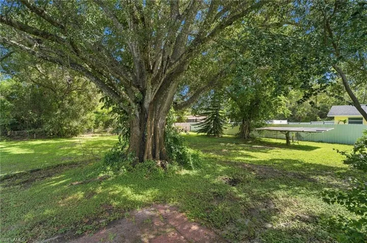 Expansive backyard featuring mature trees and a substantial green area