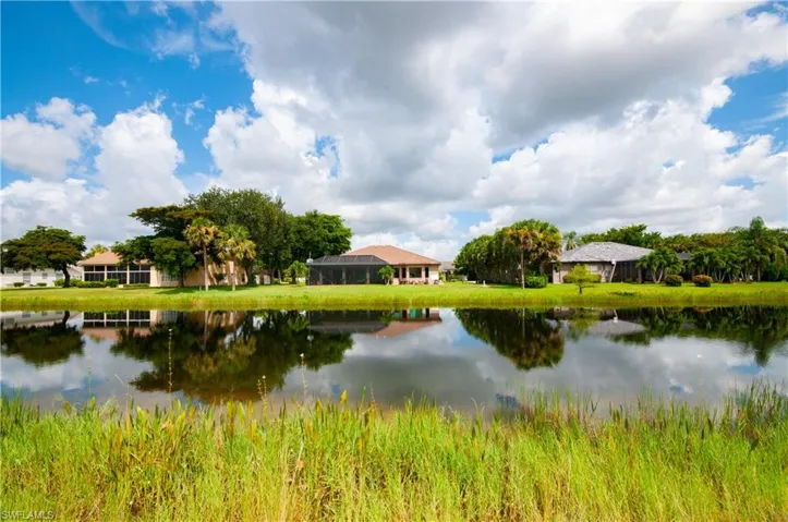 View from back yard