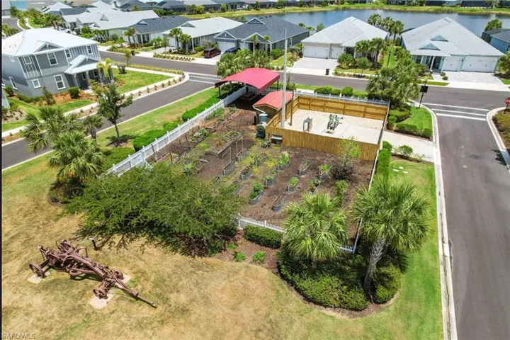 Lake Timber community garden!