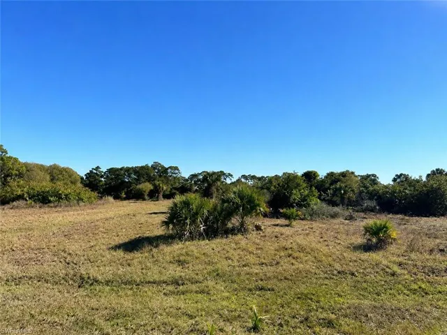 Expansive undeveloped land featuring natural vegetation and clear skies