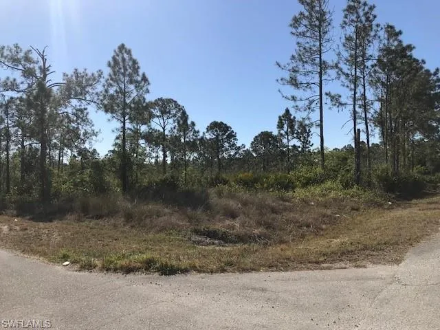 View of road