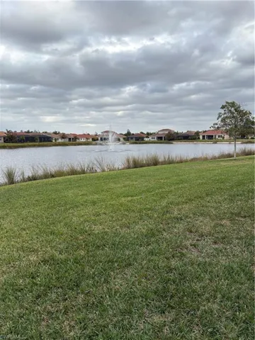 Backyard Water view