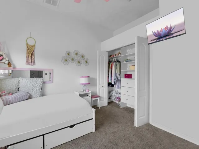 Custom Closet Systems