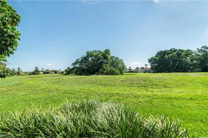 Back yard view of lush landscaping and lake