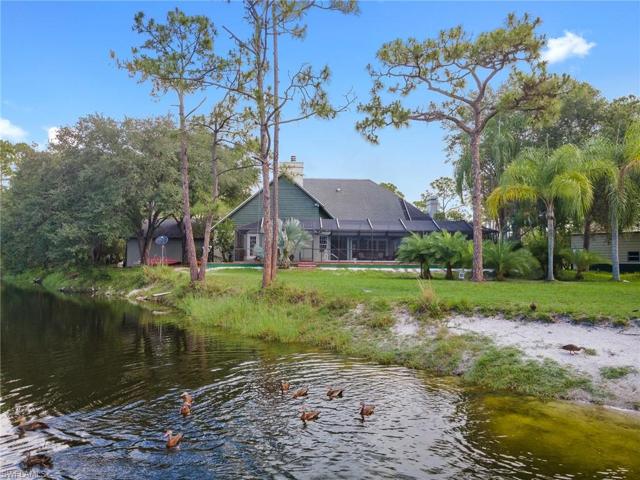 View from lake