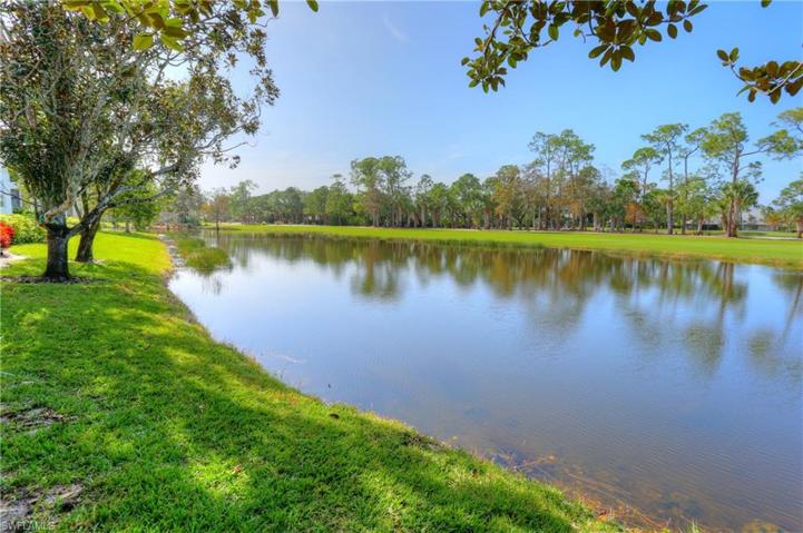 Lake view s