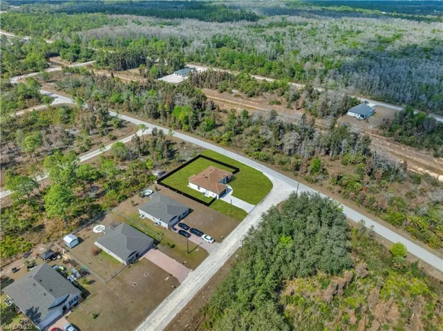 Drone / aerial view of a forest