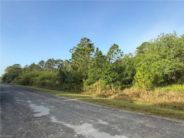 View of road featuring a forest view