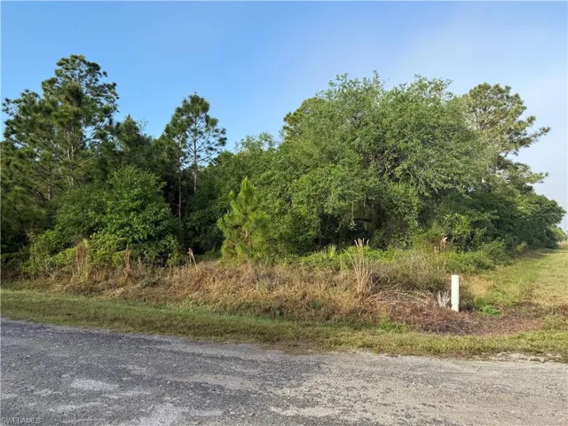 View of local wilderness featuring a view of trees