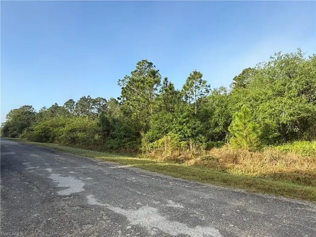 View of road featuring a forest view