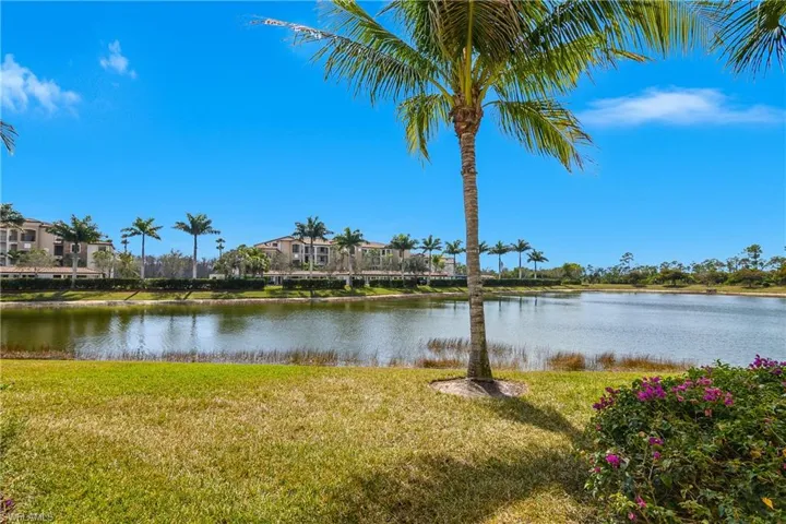 Backyard View