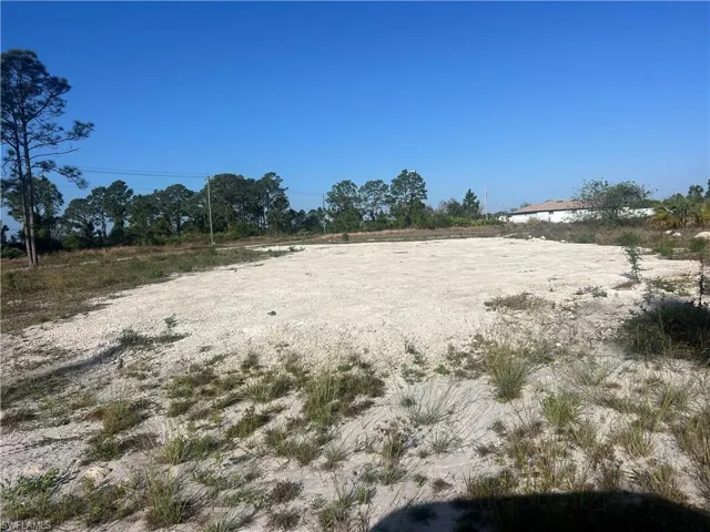 View of local wilderness