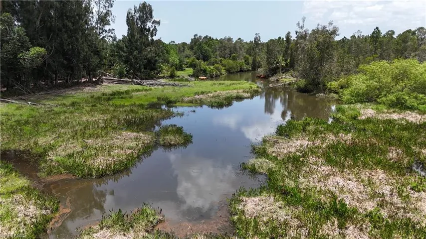 Water view with a heavily wooded area