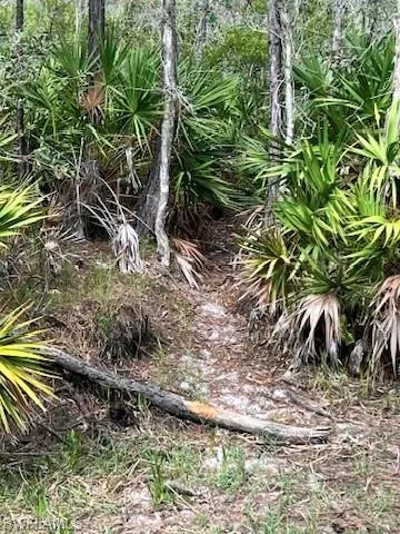 View of undeveloped land