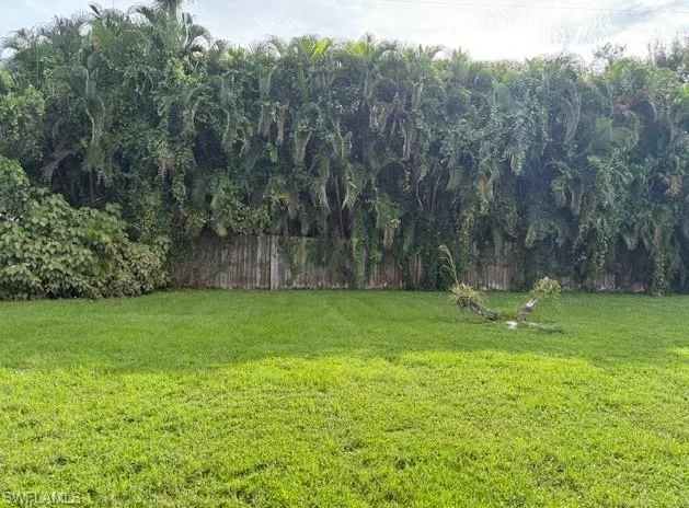 View of spacious backyard