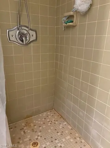Main bathroom with shower