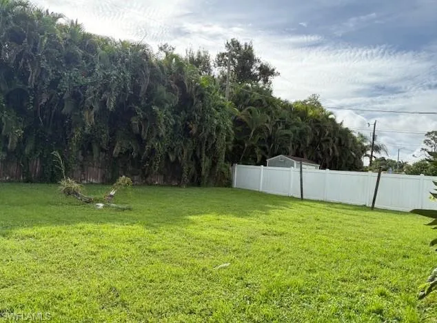 View of backyard