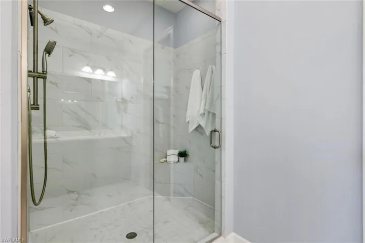 Primary Shower