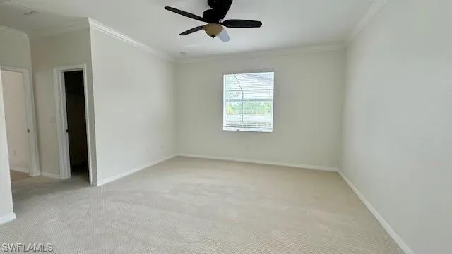 Master Bed room with ceiling fan, carpet floors, and crown molding