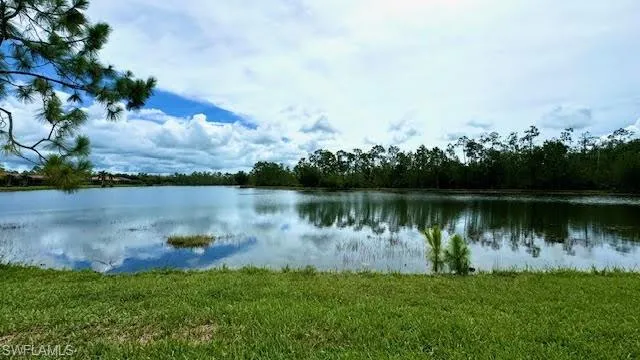 View of Lake and Preserve