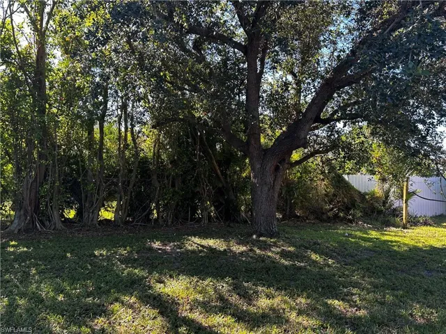 Shaded backyard