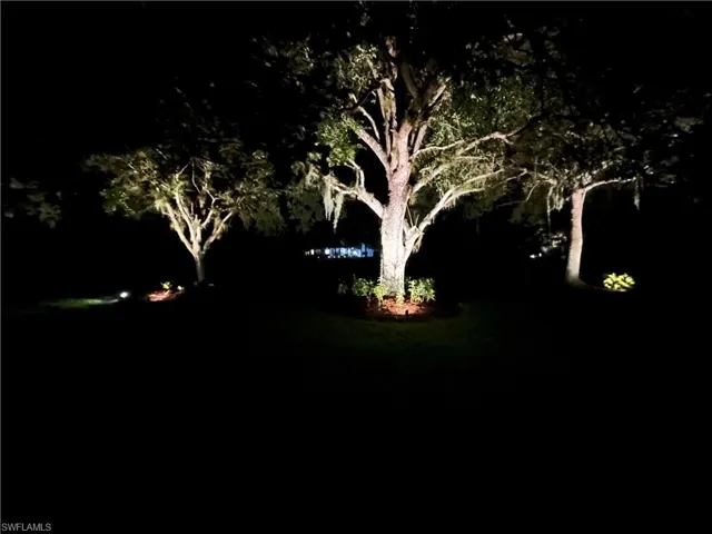 landscape lighting