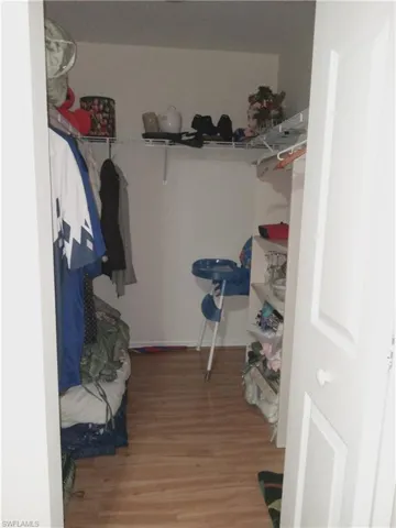 Spacious closet with wood finished floors