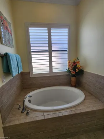 Master Jacuzzi Tub