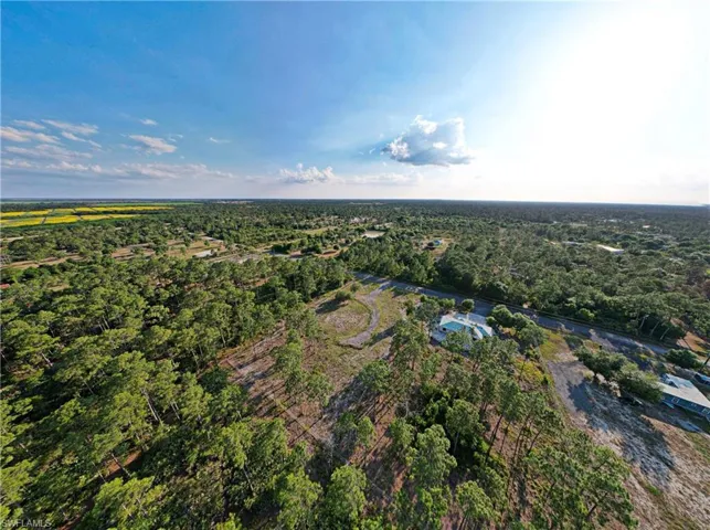 View of bird's eye view
