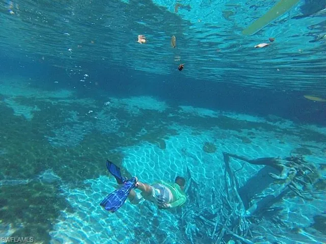 Easy ride to Floridas famous Fresh water  Springs. So many to explore , snorkeling is a favorite thing to do , plus see famous Manatees , gentle giants in their environment , and other sea life !