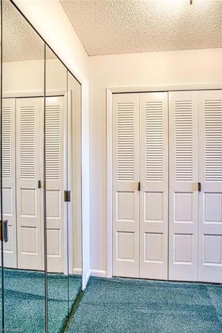 Primary-Closets