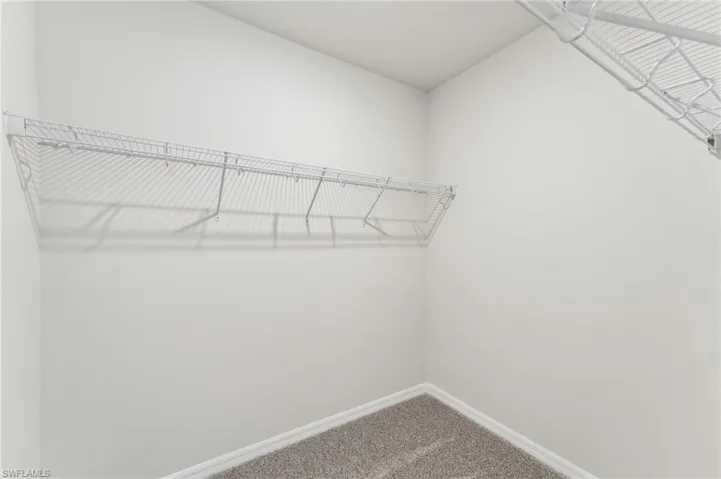 Spacious closet with carpet flooring