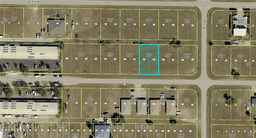 Lot and Surrounding Area