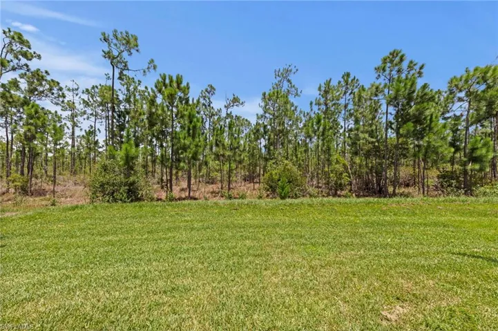 20615 Plumwood Loop, North Fort Myers, Florida 33917