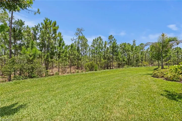 20615 Plumwood Loop, North Fort Myers, Florida 33917