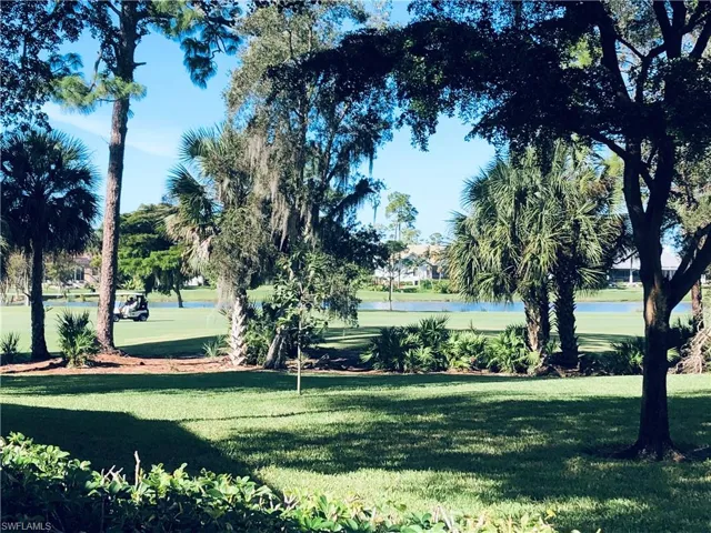 Expansive green space featuring a manicured lawn, lush tropical foliage, mature trees, and a water feature