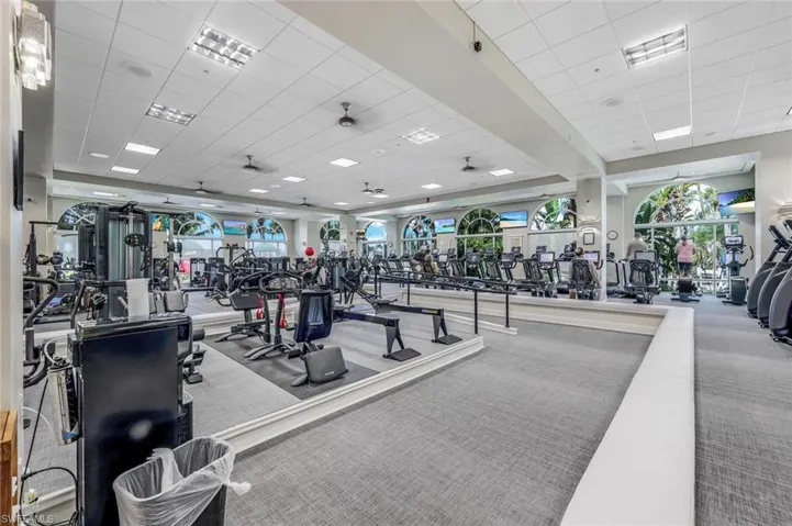 Gym with a drop ceiling, carpet flooring, and healthy amount of natural light