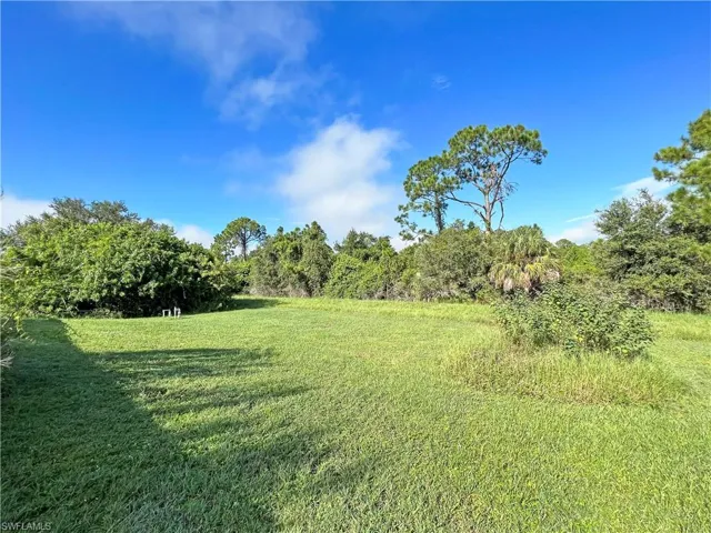 View of backyard