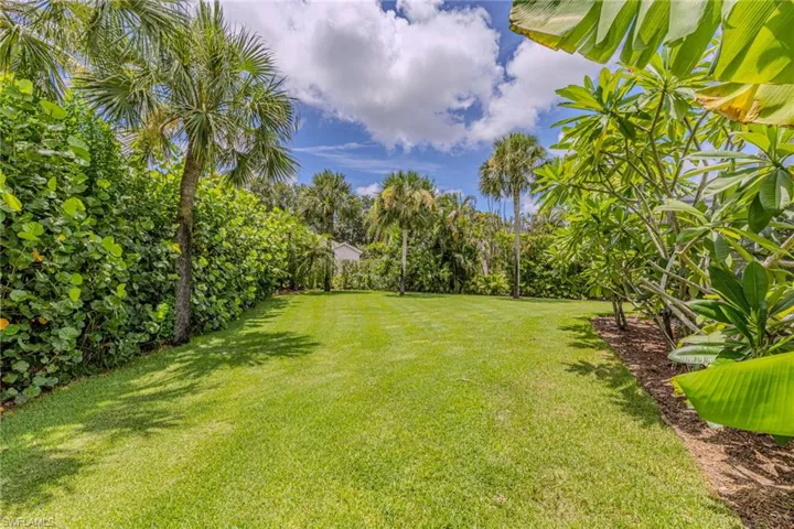 Expansive green lawn framed by mature tropical foliage and palm trees