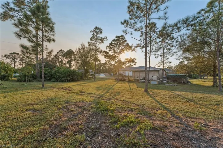 View of yard at dusk