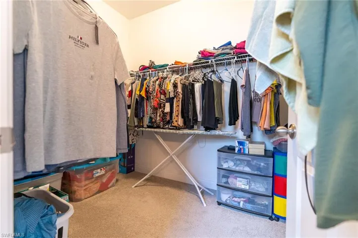 Walk in closet with light colored carpet