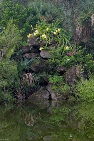 Dragon fruit and orchids on waterfall