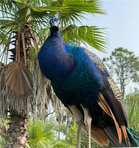 A visitor.